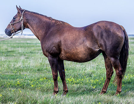 Give ThatChicaLickin