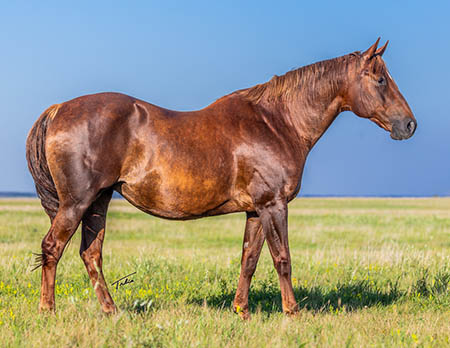 Give ThatChicaLickin