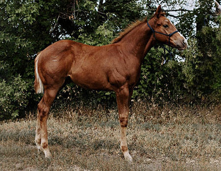 TPH Playin InTheMine